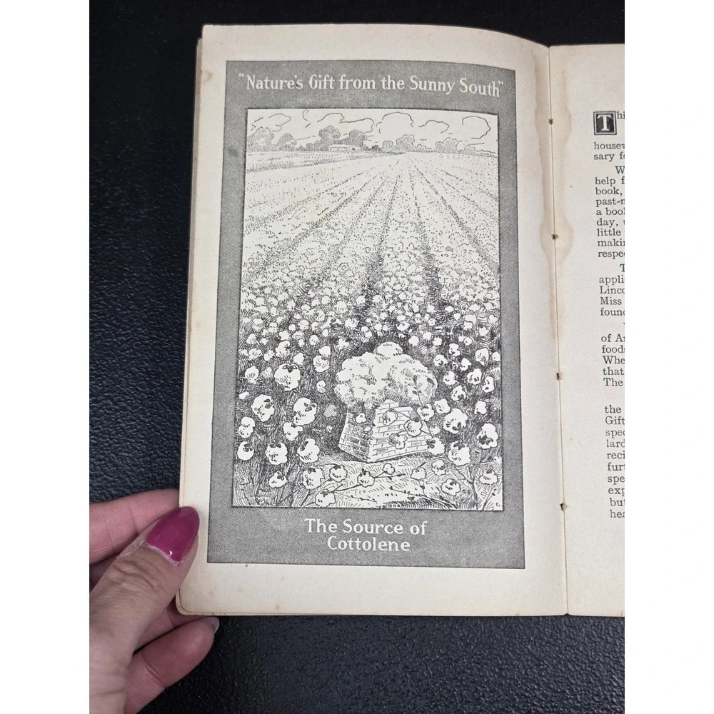 Home Helps A Pure Food Cook Book by NK Fairbank Company - Antique 1910 Paperback